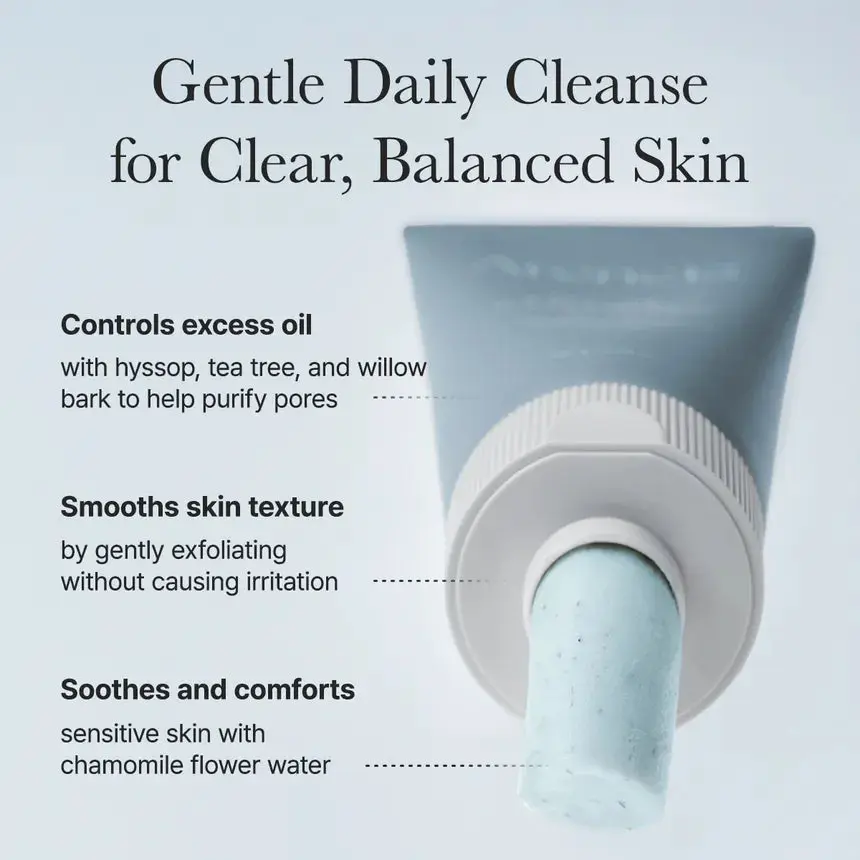 Hyssop Sebum Control Rice Cake Cleanser - Image 5