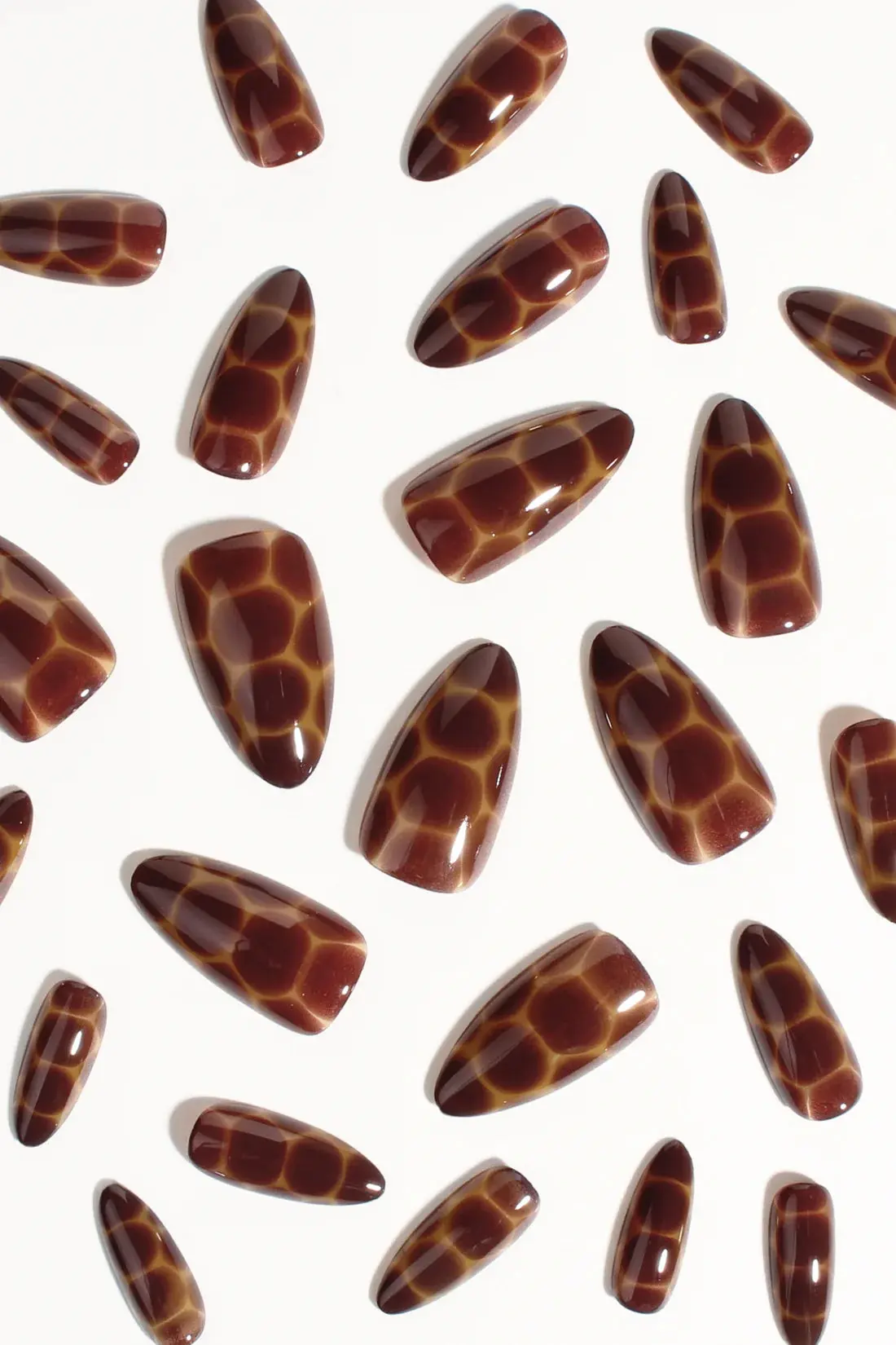 Press-On Nails Cocoa Nouveau - Image 5