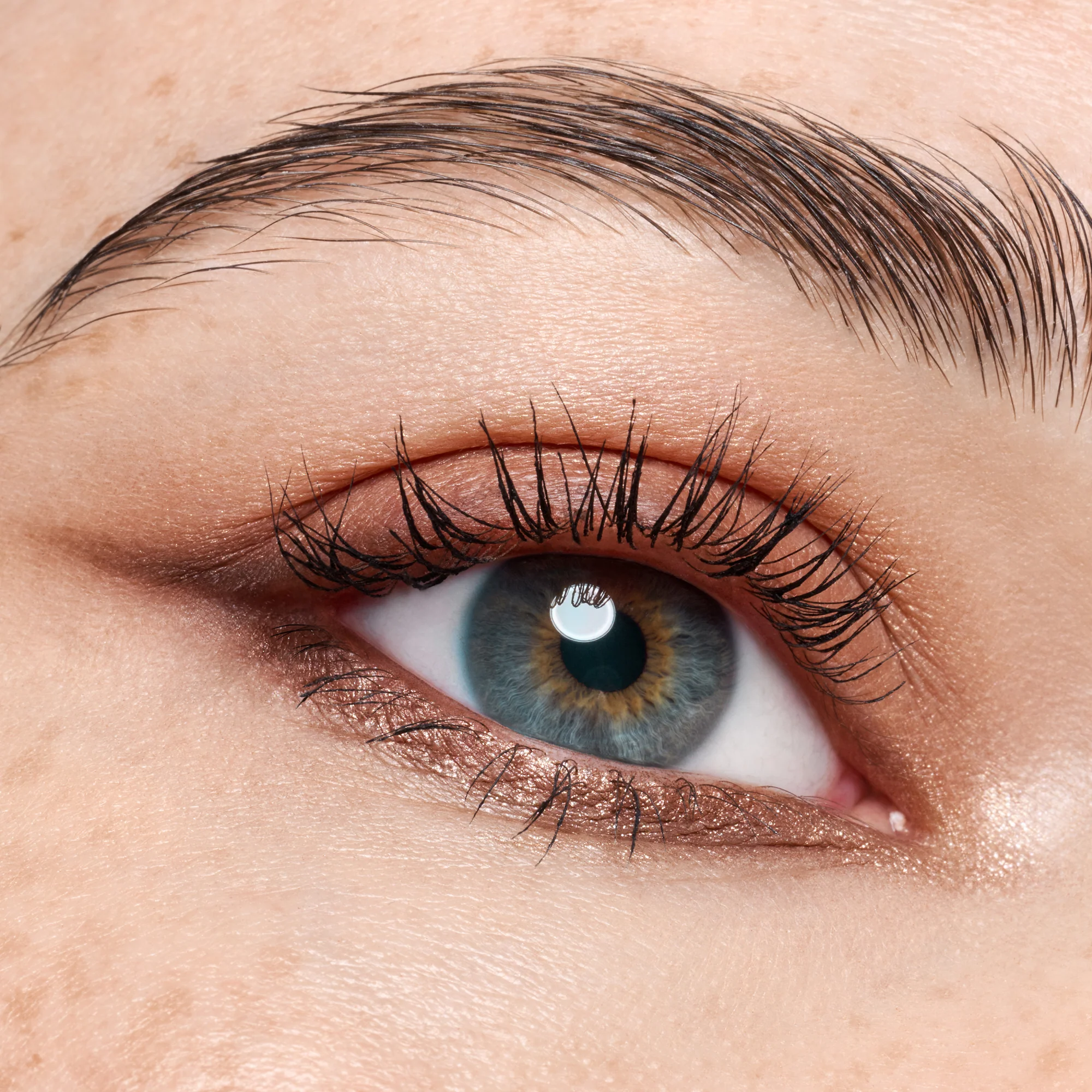 The Dark Cocoa Eyeshadow Palette - Image 3