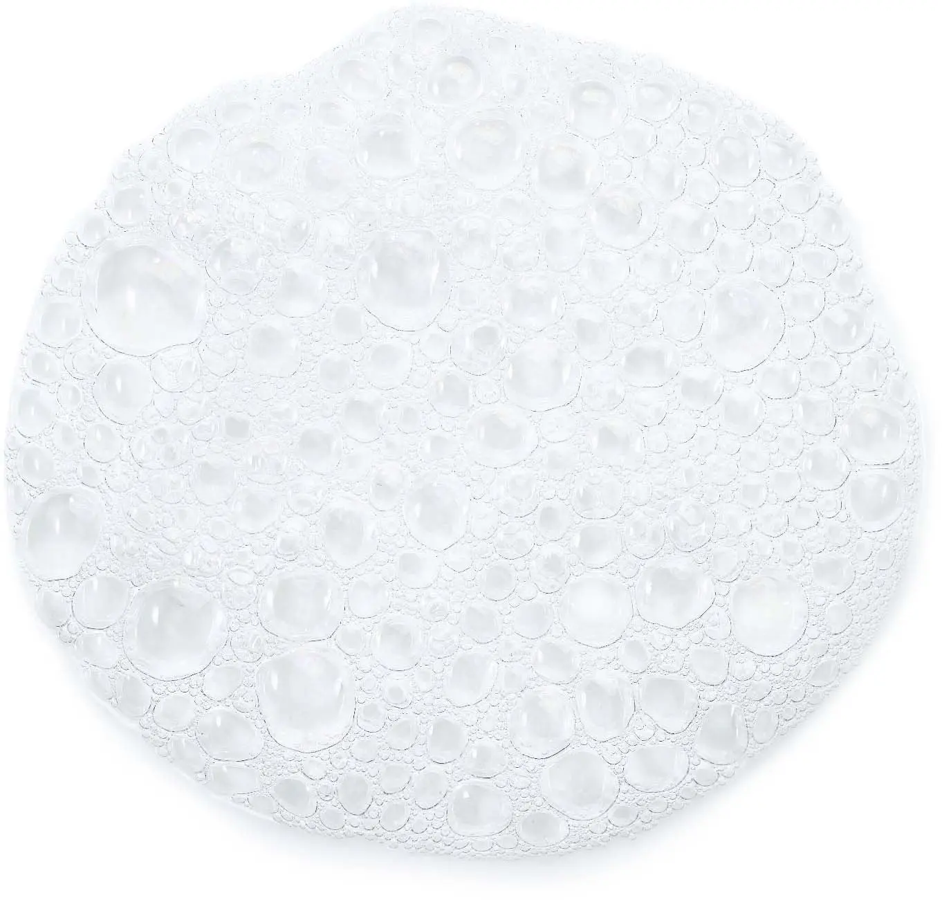 Foaming Cleanser 473 ml. - Image 2