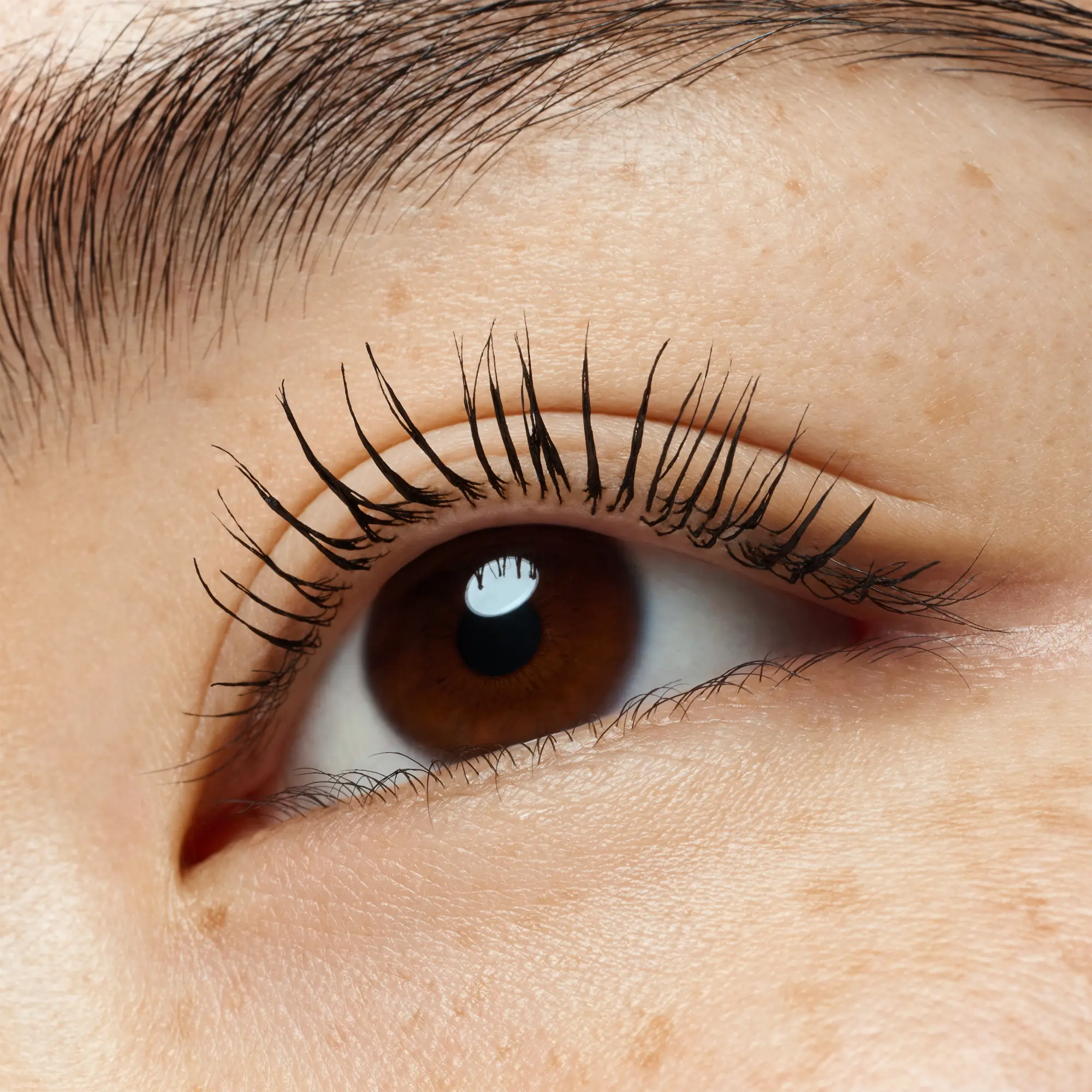 Lash Without Limits Waterproof Extreme Lengthening & Volume Mascara 03 Black Waterproof - Image 5