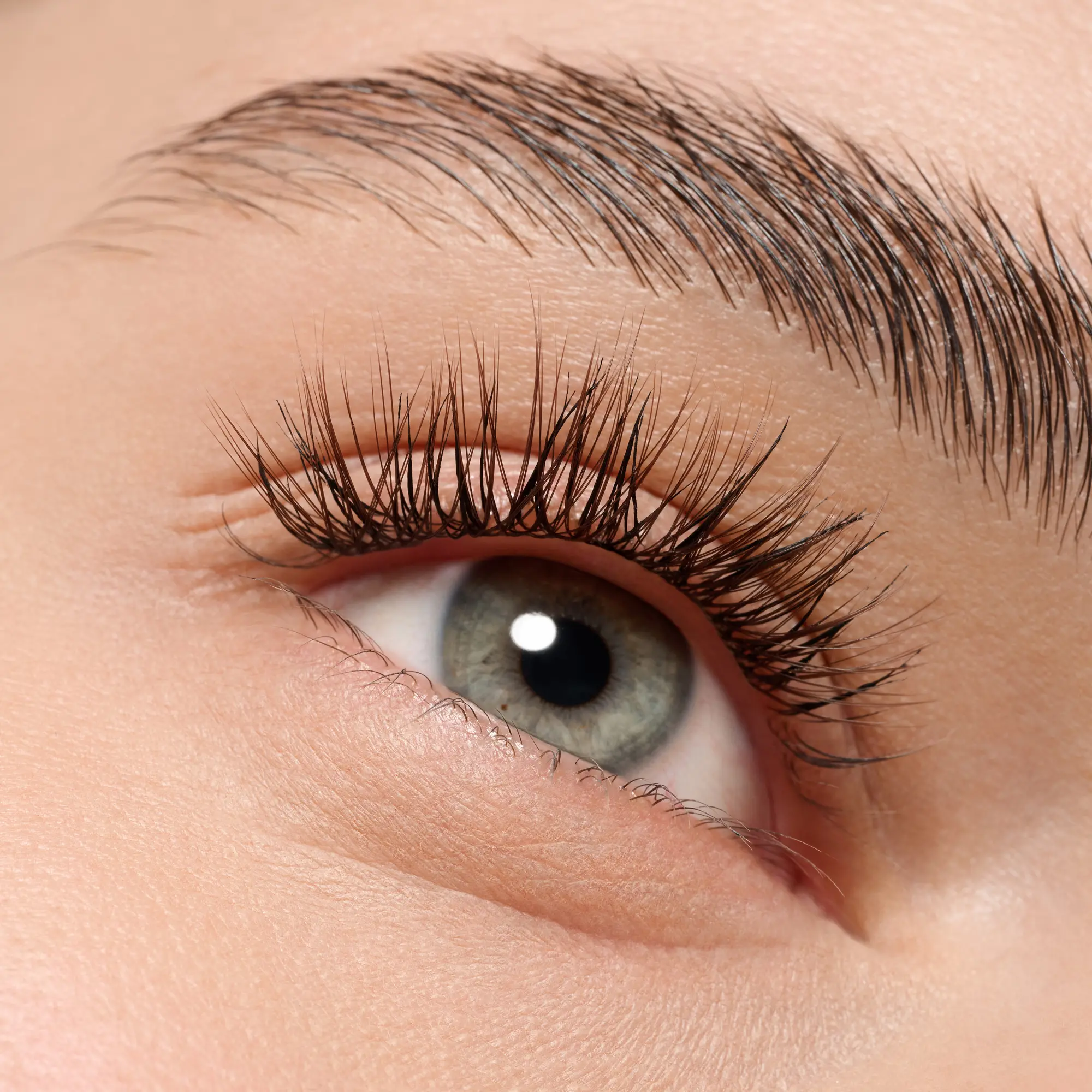 What The Fake! False Lashes 05 Natural Cluster Brown - Image 3