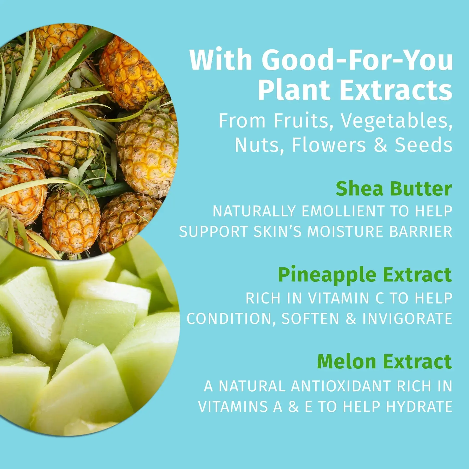 Sweet Pineapple & Honey Melon Herbal Body Moisturizer 250 ml. - Image 3