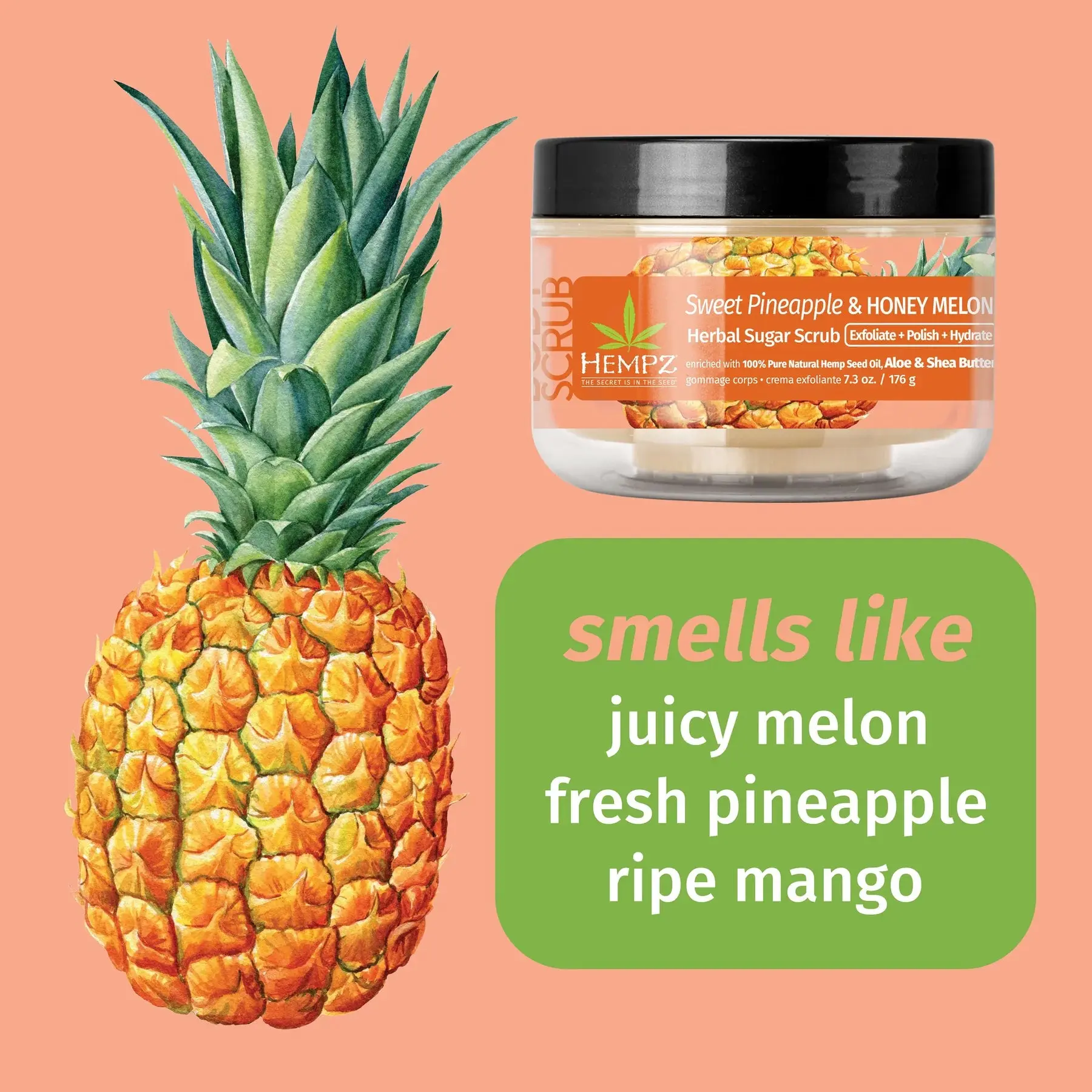 Sweet Pineapple & Honey Melon Herbal Body Scrub - Image 4