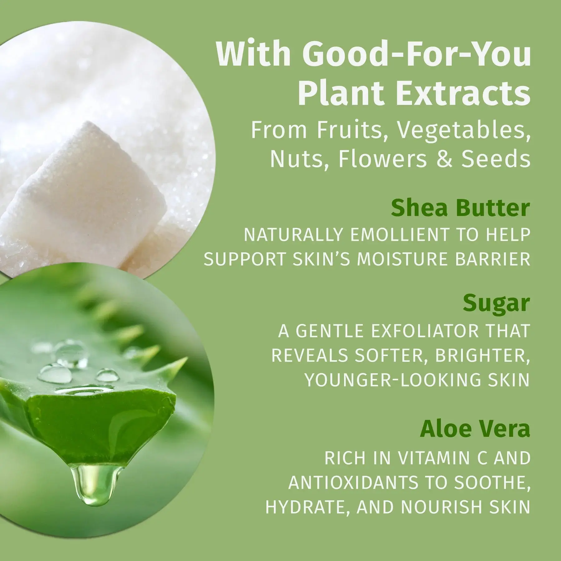 Sweet Pineapple & Honey Melon Herbal Body Scrub - Image 5