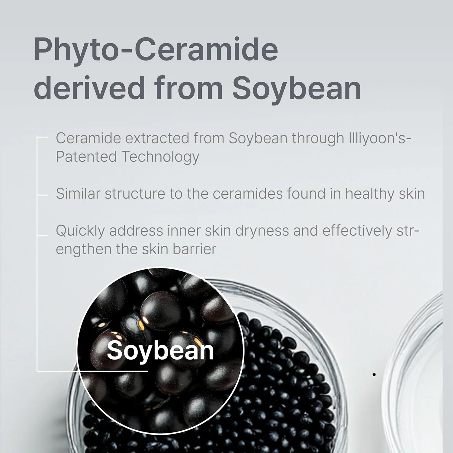 Ceramide Ato Concentrate Cream - Image 5