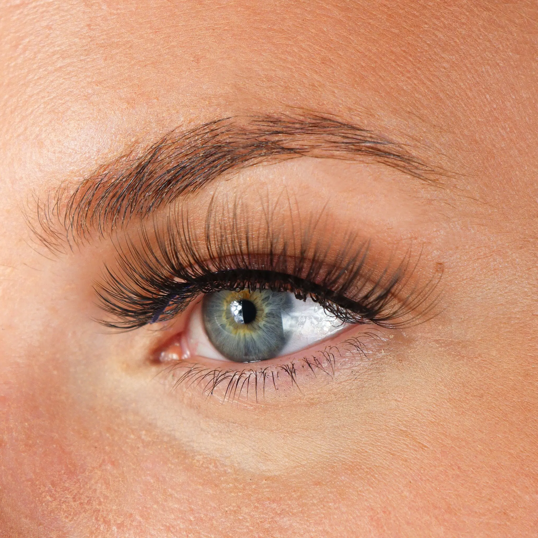 Lashes Armanda - Image 2