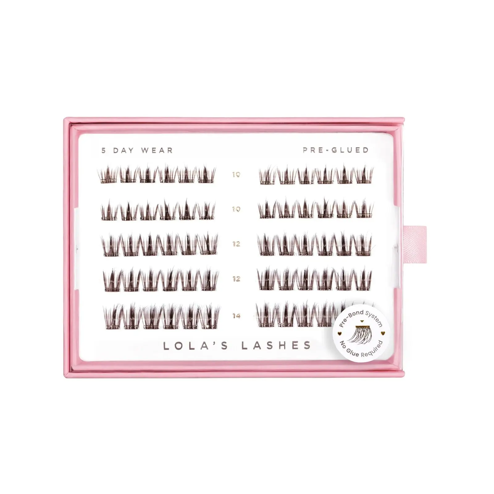 Feathered Dark Brown Pre-Glued Lashes