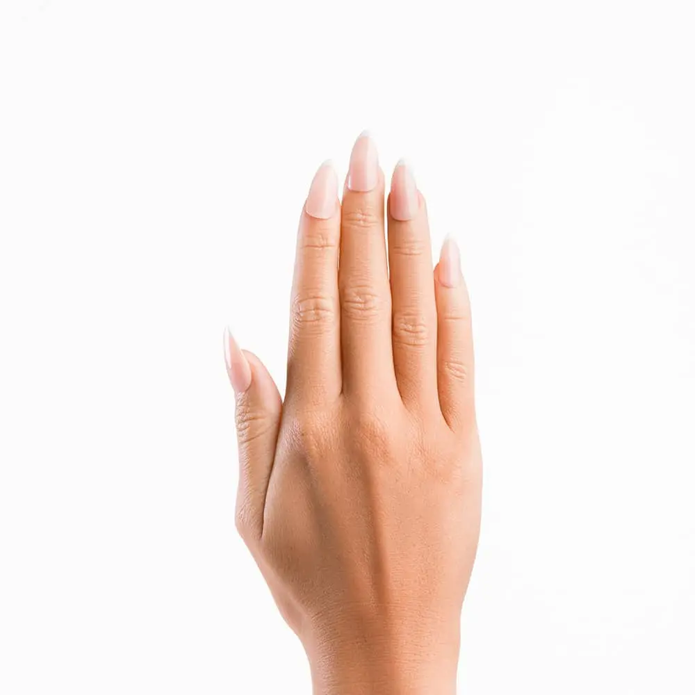 Almond Glossy French Nails - Image 2