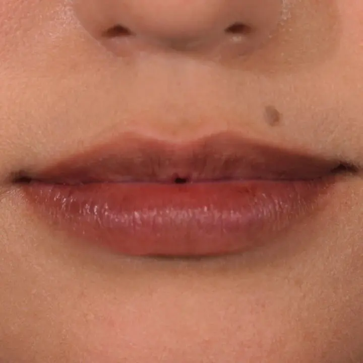 Lip Stain Nude - Image 3