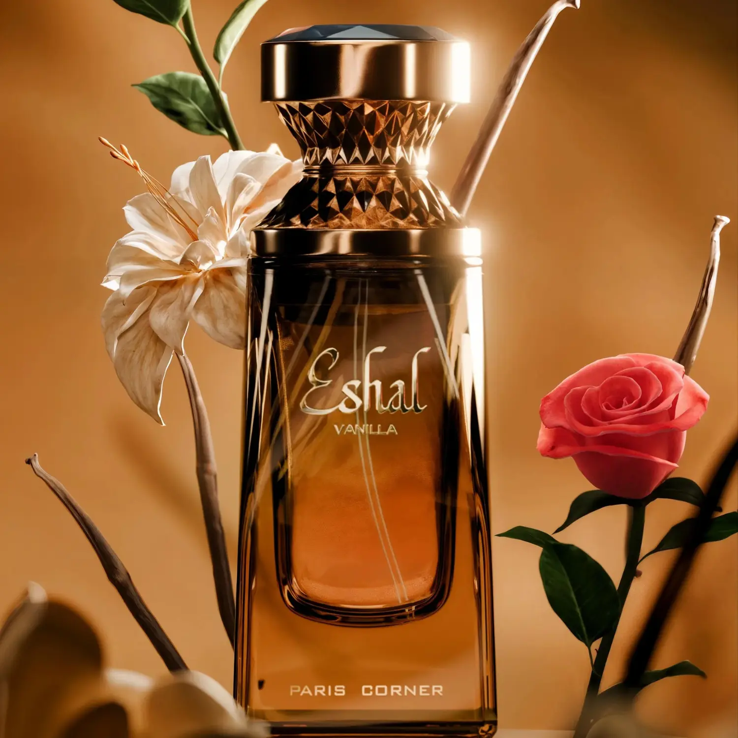 Eshal Vanilla - Image 2