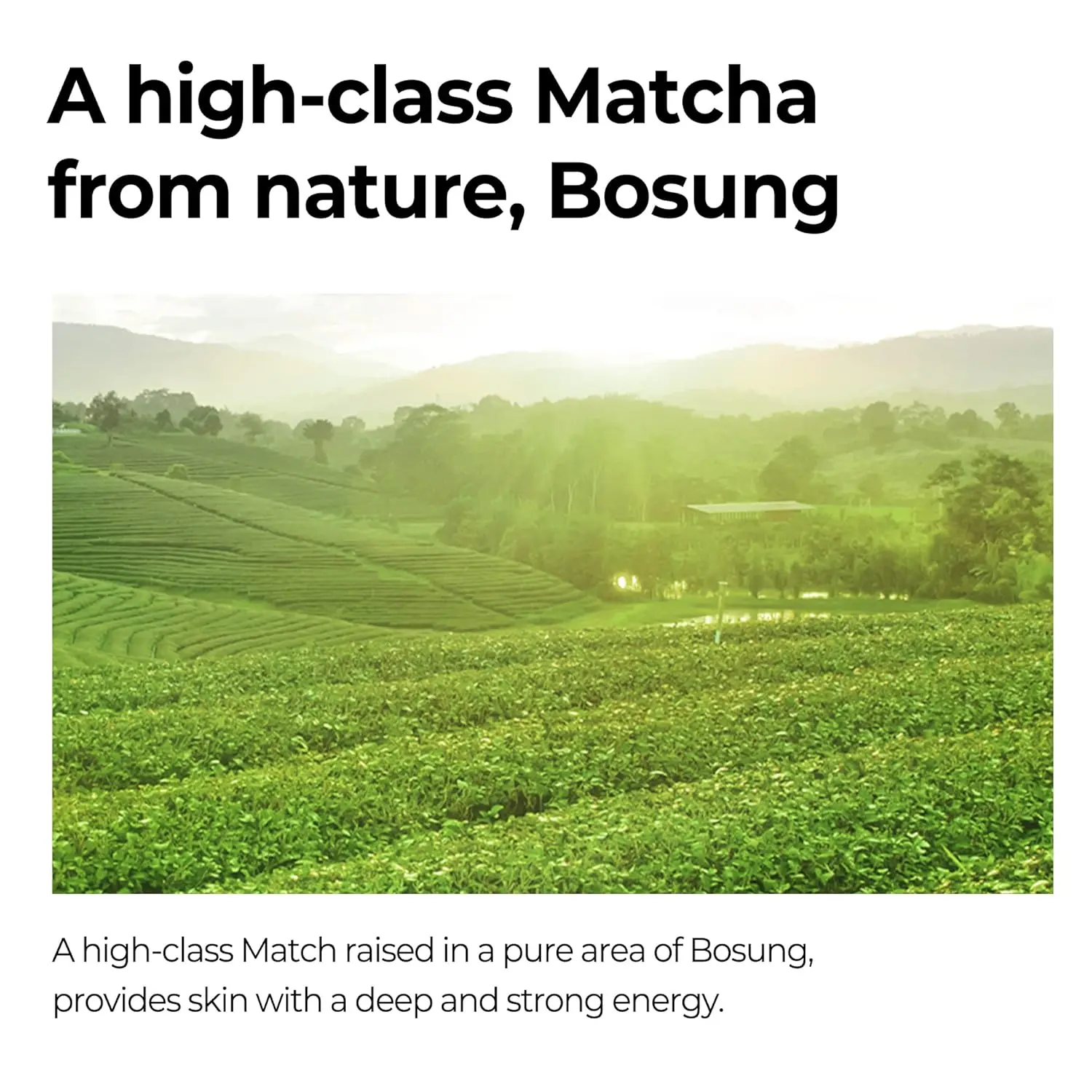 Super Matcha Pore Tightening Serum - Image 5