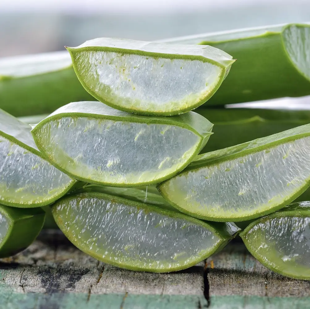 100% Natural Aloe Vera Oil - Image 3
